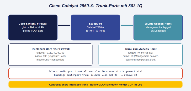Datei:Cisco-2960-X-Trunk.png