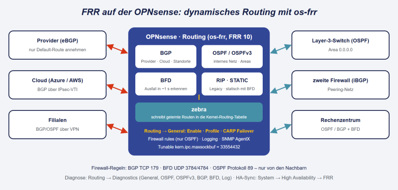 Datei:OPNsense-FRR-Routing.png