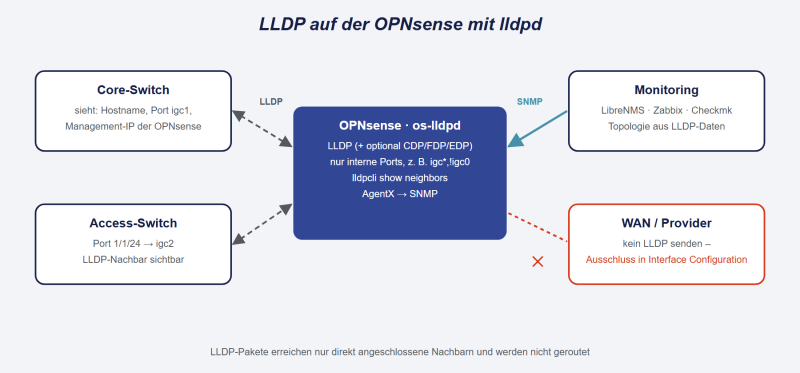 Datei:OPNsense-LLDP.png