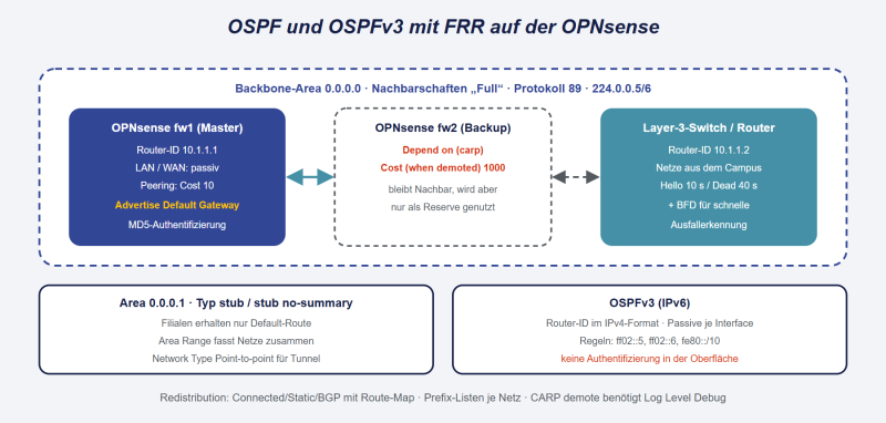 Datei:OPNsense-OSPF-FRR.png