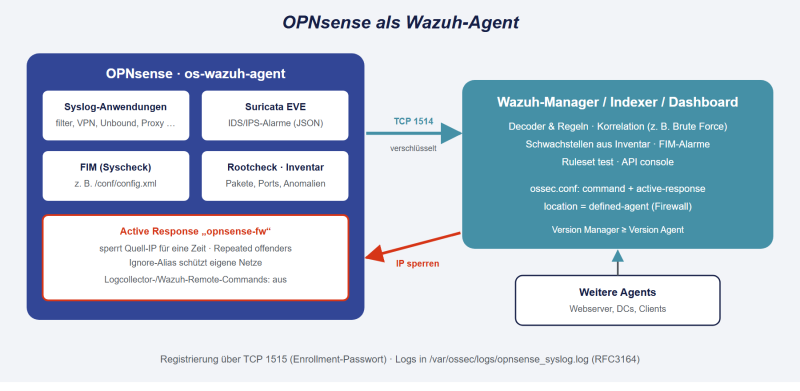 Datei:OPNsense-Wazuh-Agent.png